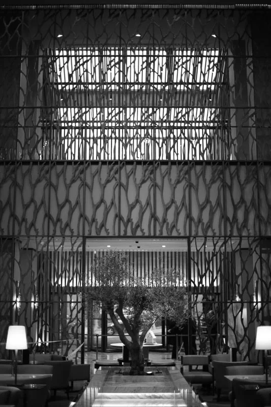 Ankara Hilton Hotel Public Areas