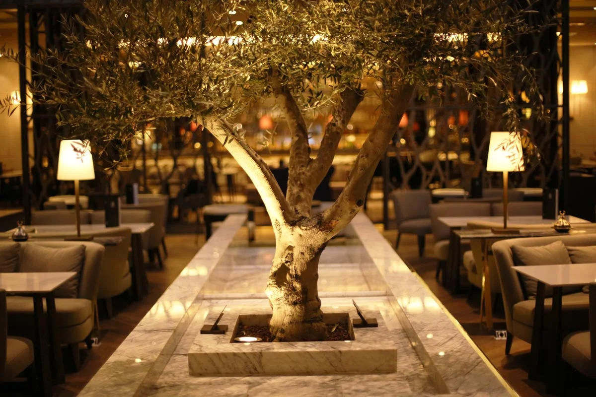 Ankara Hilton Hotel Public Areas