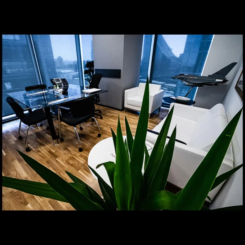 Leonardo Turkey O­ffice