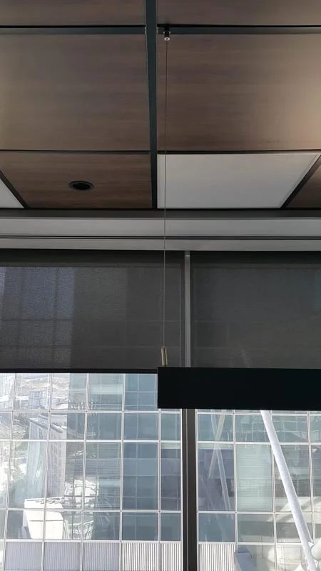 Leonardo Turkey O­ffice