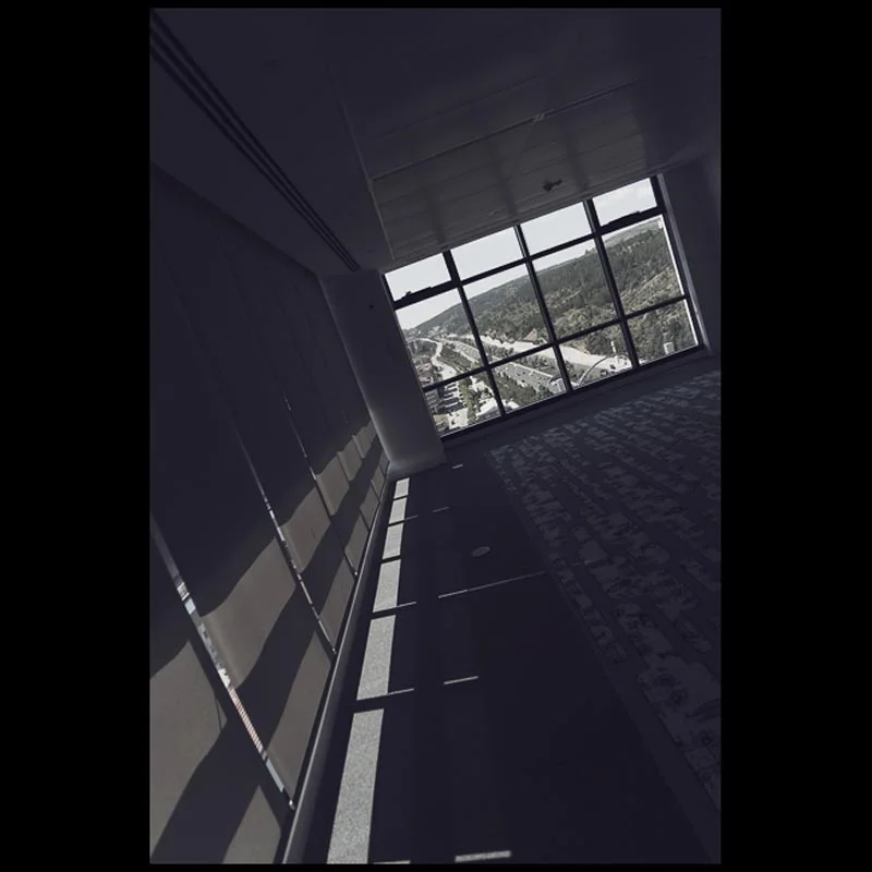 Netherlands Embassy (Confidential)