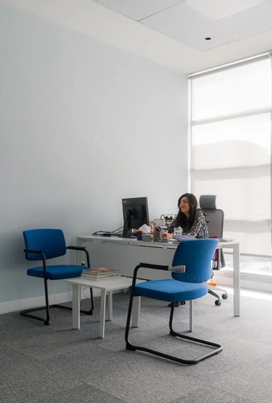 Sandvik Turkey Office